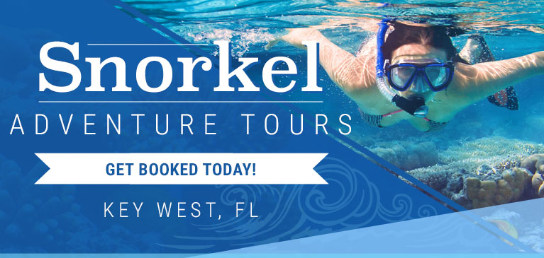 Key West Snorkeling Tours