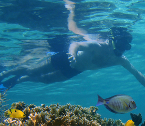 Snorkel Wisely
