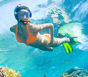 Top Snorkeling Locations in Key West