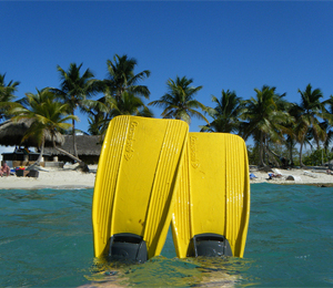 Choosing the Right Fins